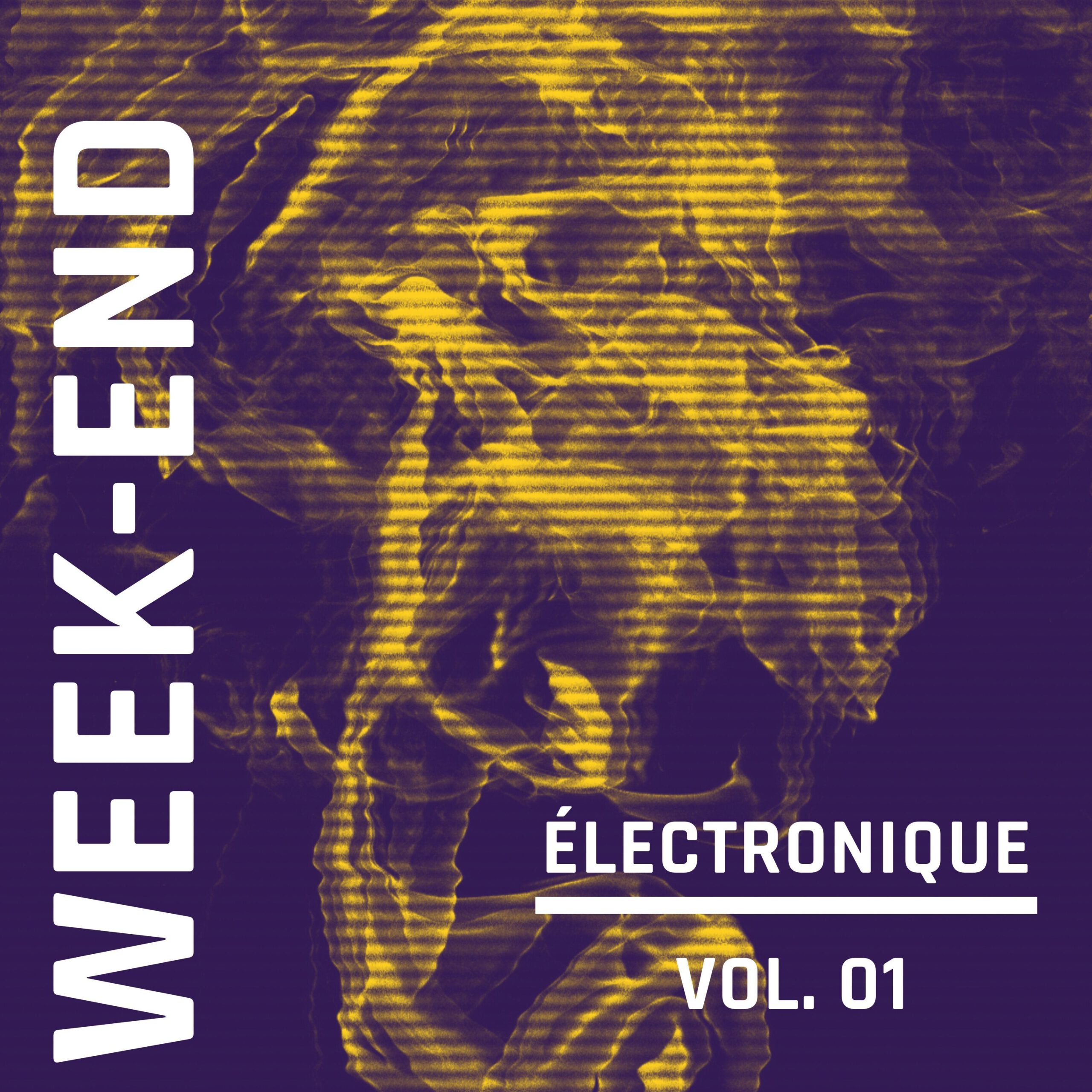 Week-End Electronique, Vol. 1